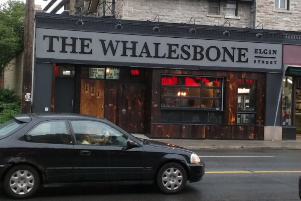 whalesbone